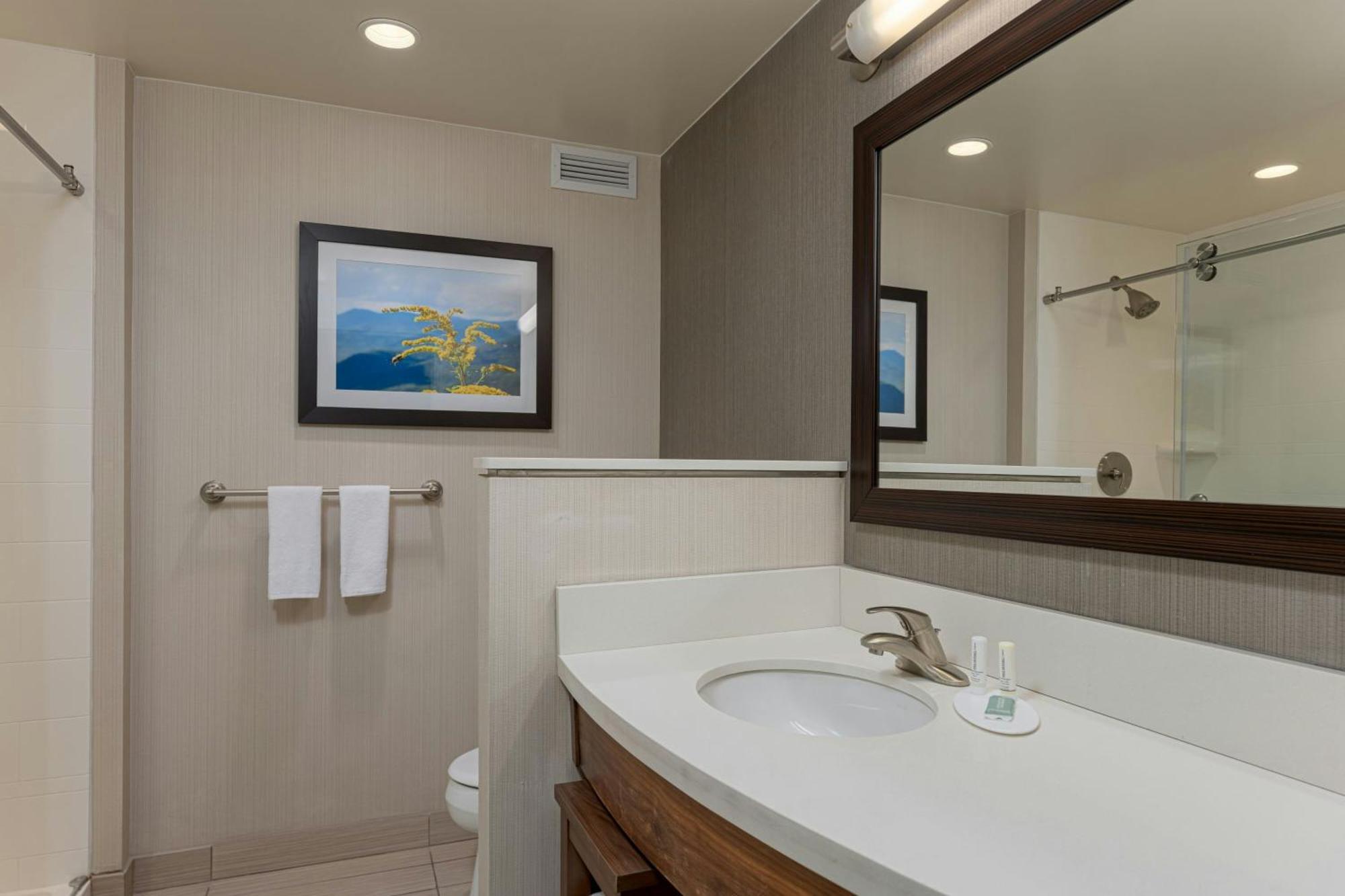 Courtyard By Marriott Asheville Airport Fletcher Eksteriør billede